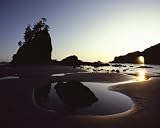 National Geographic, Serene Tidal Pools, Olympic National Park, 8 x 10 Poster Print