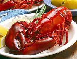 2 Live Maine Lobsters (2 included) - Live Maine Lobster 2 lbs by Gorton's of Gloucester
