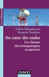 Au coeur des ondes - Les champs �lect...