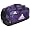 Collegiate Purple
