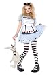Teen Alice In Wonderland Costume