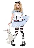 Teen Alice In Wonderland Costume