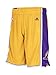 Los Angeles Lakers NBA adidas Youth Mesh Swingman Home Shorts