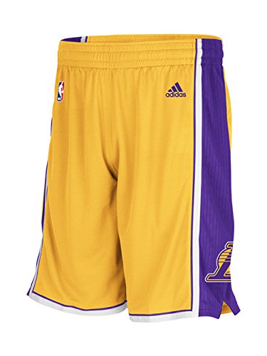 Los Angeles Lakers NBA adidas Youth Mesh Swingman Home Shorts