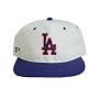 MLB Baseball Los Angeles Dodgers Hat