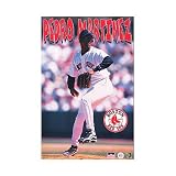 (22x35) Boston Red Sox Pedro Martinez Sports Poster Print