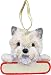 Cairn Terrier Dog Santa's Pal Christmas Ornament