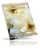 Roses In Any Climate - 5 Pros Reveal Their Blue Ribbon Blueprint