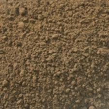 Black Walnut Hull Powder - 4 ounce Juglans nigra Wild Crafted Herb