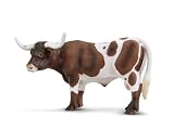 Texas longhorn bull