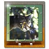 Florida Green Eyed Panther - 6x6 Desk Clock
