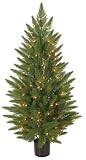 GKI Bethlehem Lighting 100022019 5-Foot Potted Cypress Tree with 100 Clear Mini Lights