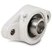 Kilian KNR-FL205-1 No Rust 2 Bolt Flange Assembly