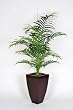 Artificial 5 Ft. Areca Palm