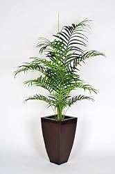 Artificial 5 Ft. Areca Palm