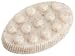 Pre de Provence Shea Butter Foot Soap 150g, Light Tan , .5 Pound Cello Wrap