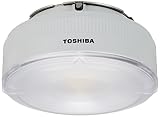 東芝(TOSHIBA)  LEDライトエンジン1600 LECF/14N-W15GH5085