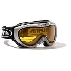 ALPINA Skibrille Freespirit