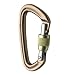 Black Diamond Positron Screwgate Carabiner (Mocha) - Standard