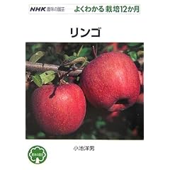 �����S (NHK��̉��| �悭�킩��͔|12����)
