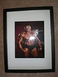 Brock Lesnar Hand Signed 8x10 Picture Poster Framed UFC WWE