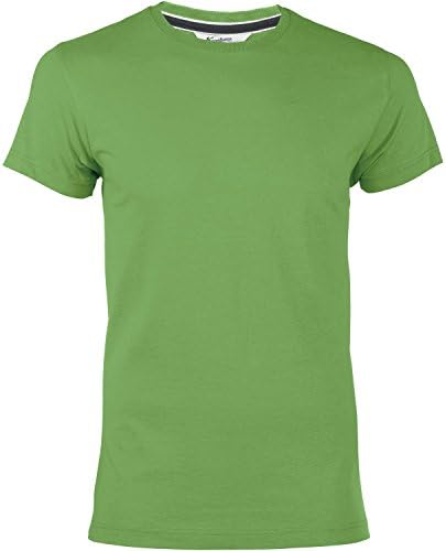Kariban Vintage Mens Short Sleeve Slim Fit T-Shirt (L) (Vintage Green)