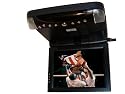 10.4'' Flip Down DVD Roof Mounted with TV Tuner and Antenna Included