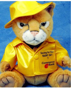 41yFqr7kBhL Rain Coat outfit fits Webkinz, Shining Star & 8 10 Make Your Own Stuffed Animals
