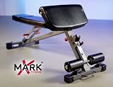 XMark Fitness Commercial Rated Ab Hyperextension and Preacher Curl Weight Bench