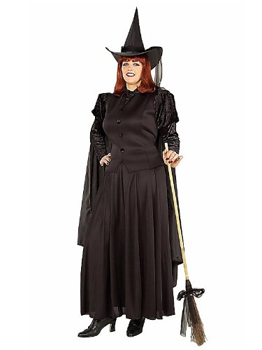 Classic Witch Adult Costume Plus Size 18-22 XLarge