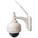 Foscam FI8919W Telecamera IP Impermeabile Rotante IP66 VGA 640 x 480p Mjpeg Wireless/Cavo con Filtro IR-Cut - 15 Metri Visione Notturna e Lente da 2.8mm (50° Gradi), colore: Bianco