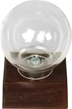 Single Baseball Globe Display Case