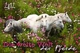 Produkt-Bild: Die weite Welt der Pferde Panorama 2012