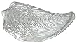 Clear Glass Medium Oyster Plate 12 1/2"x 6 1/4" Set of Two