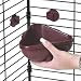 SPET HANG N LOCK CORNER CROCK
