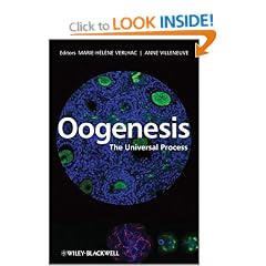 Oogenesis: The Universal Process