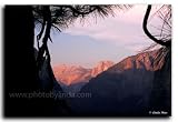 Linda Shier Yosimite Vista 8 x 10 Glossy Print