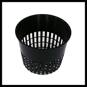 Orchid Pot - 3.5 inch - Net Pot - 10 pack