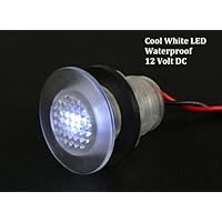 L.E.D Livewell Light