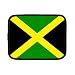 Jamaica Flag Neoprene Ipad Tablet Laptop Netbook Kindle Nook Case – Sleeve