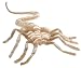 Alien Life-Sized Facehugger Plush [Toy]