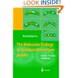 The Molecular Biology of Schizosaccharomyces pombe: Genetics, Genomics and Beyond by Richard Egel
