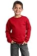 Youth Crewneck Sweatshirt