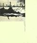Joan Fontcuberta (Phaidon 55s) (Phaidon 55s)