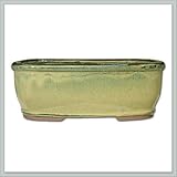 10 Bonsai Pot | Creamy Green Rounded Rectangle