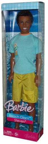 Barbie: Beach Steven Doll