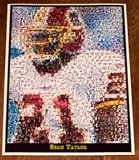 Washington Redskins Sean Taylor Montage