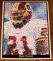 Washington Redskins Sean Taylor Montage
