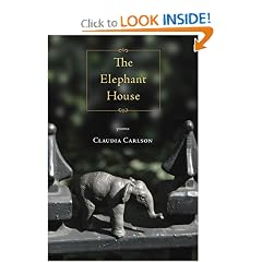 The Elephant House