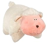 Knowing God: Walking through the Book of Books